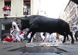 La ganadería gaditana de Cebada Gago, protagonista en San Fermín 2024