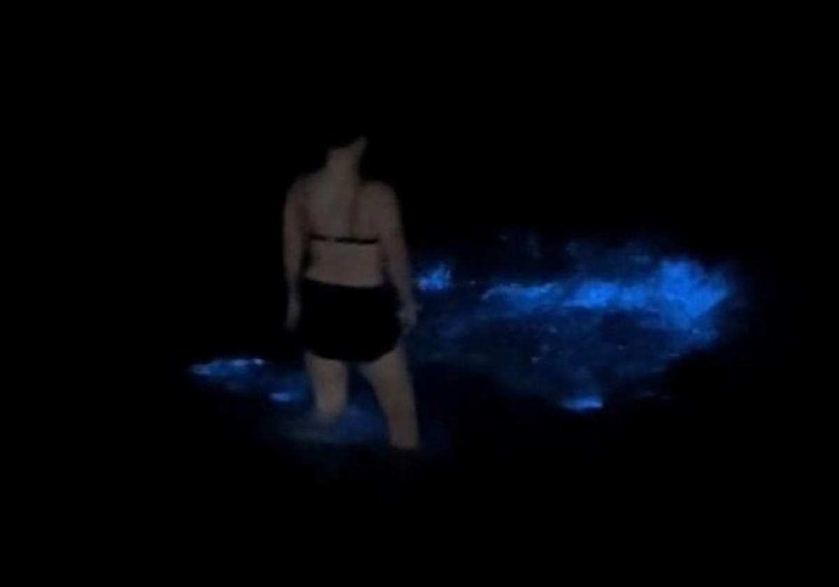 Bioluminiscencia en las playas de Cádiz