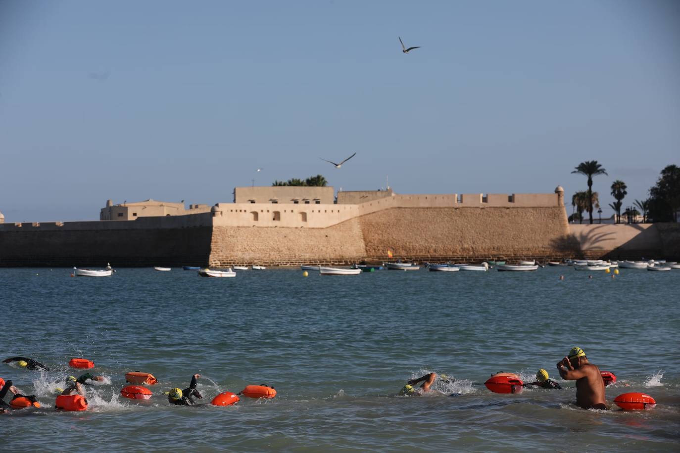 FOTOS: Así ha sido la XXXIV Travesía Internacional a Nado Ciudad de Cádiz. Desde la playa de La Caleta