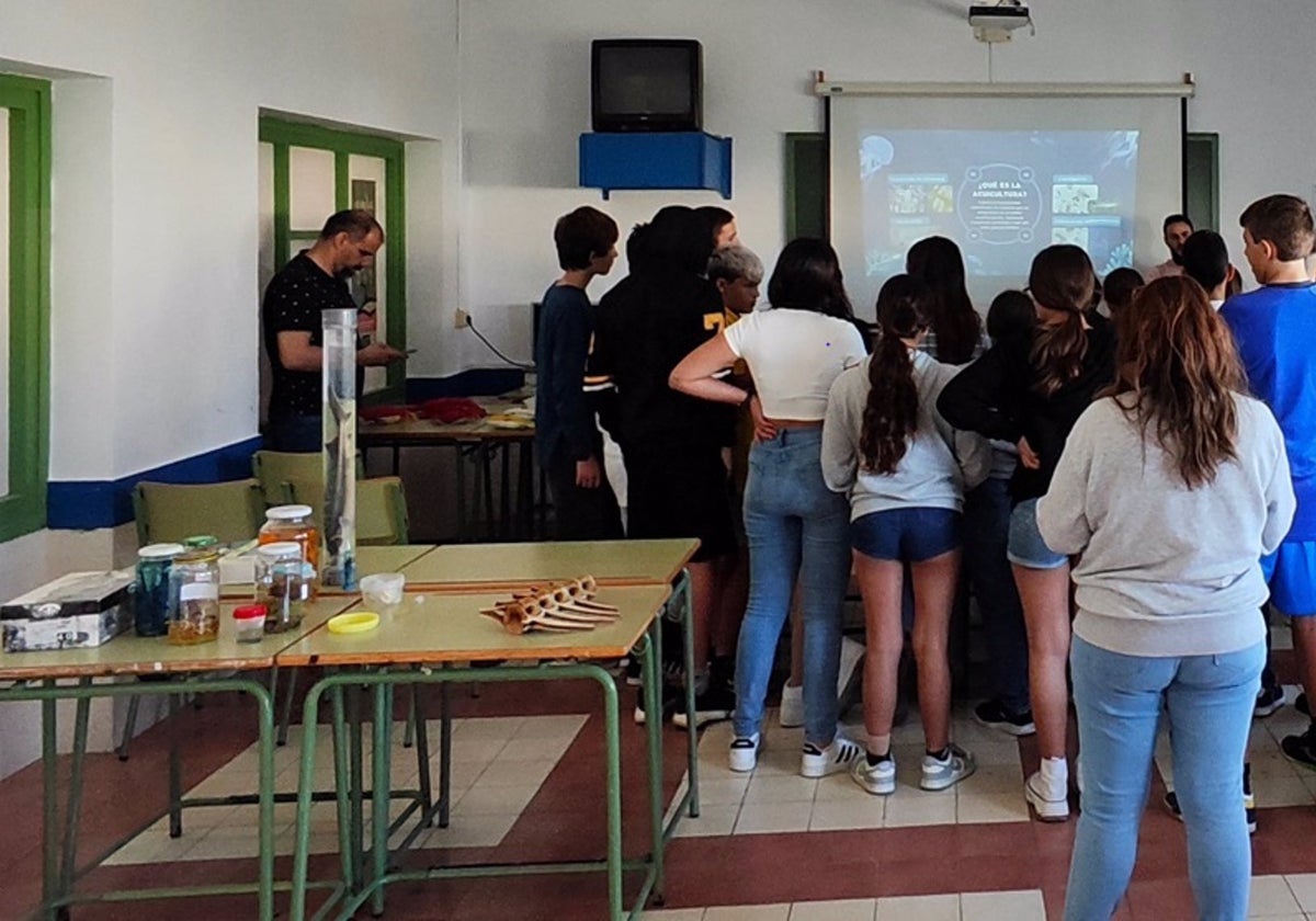 Más de 1.300 alumnos participan en un programa piloto de Educación Ambiental de CEI·Mar y Diputación