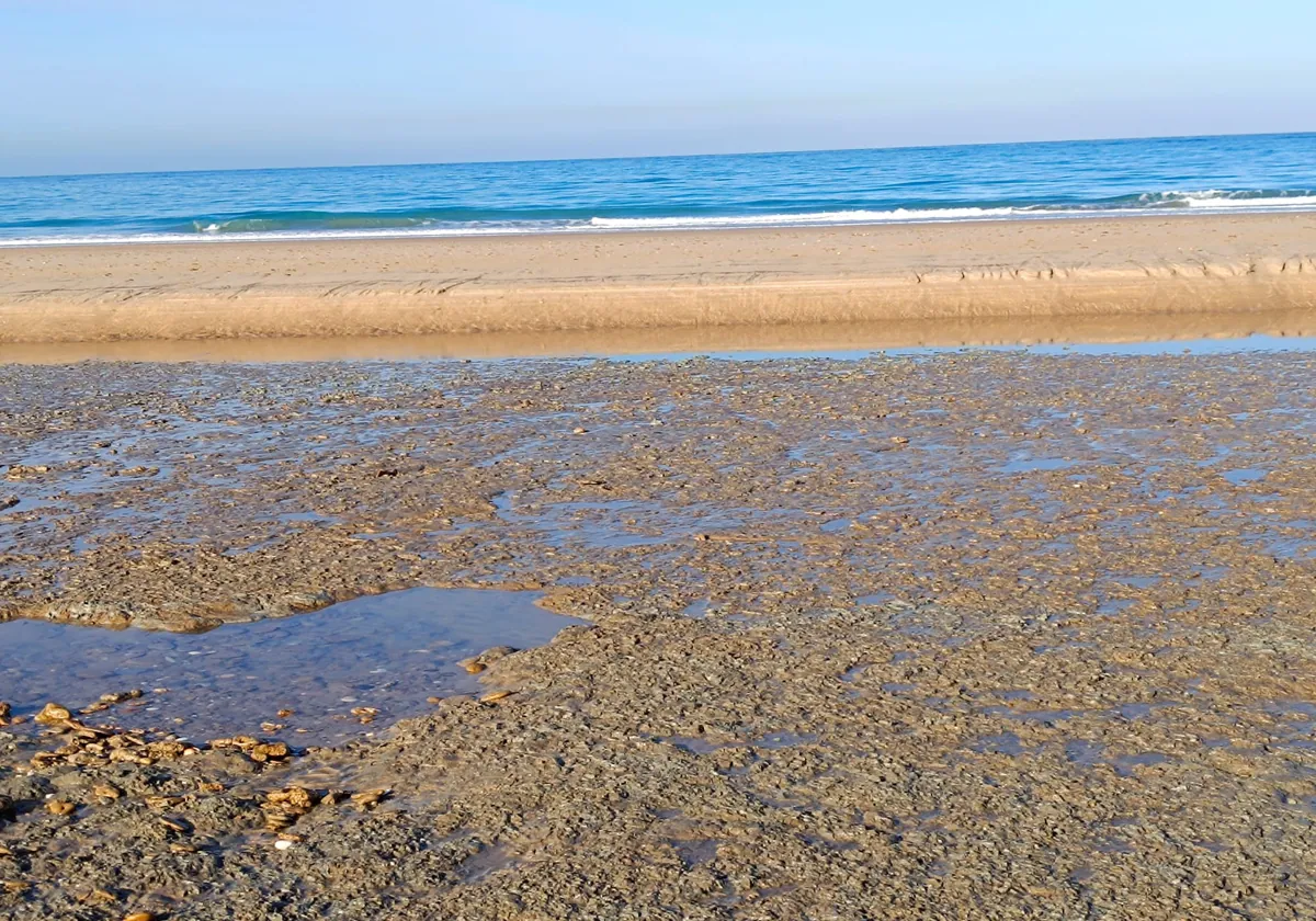 Abierto un expediente sancionador al Ayuntamiento de San Fernando por incumplir la ley en la limpieza de la playa de Camposoto