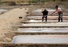 Un decreto de la Junta favorecerá «la inversión y la economía» en las salinas en Cádiz