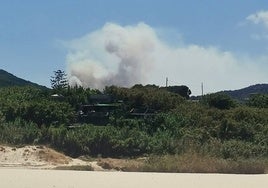 Declarado un incendio forestal en Algeciras