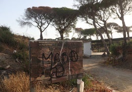 Recogidos 9.000 kilos de basura en Las Canteras en un año