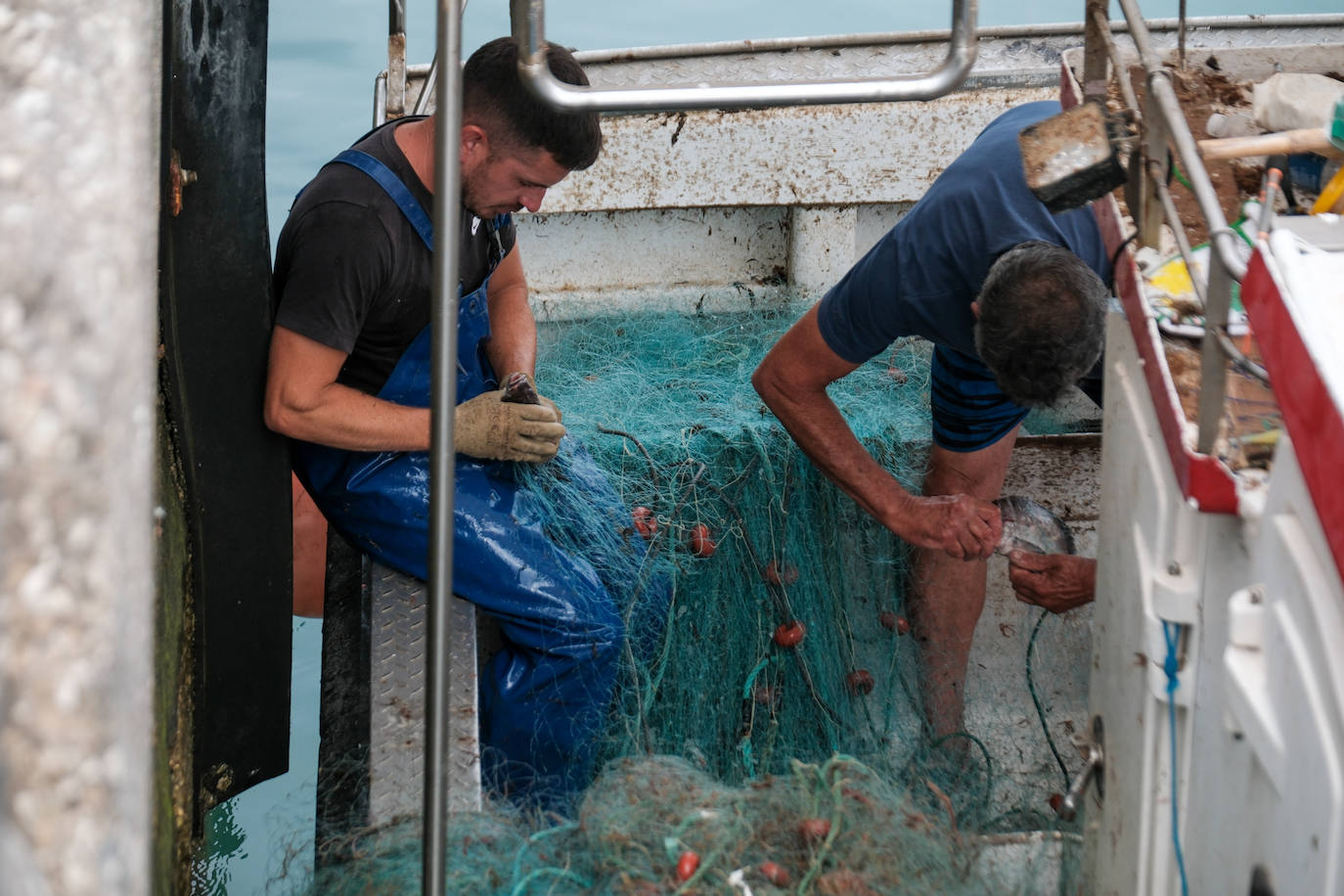 Fotografías de un drama: el alga asiática pasa &#039;factura&#039; a los pescadores de Conil