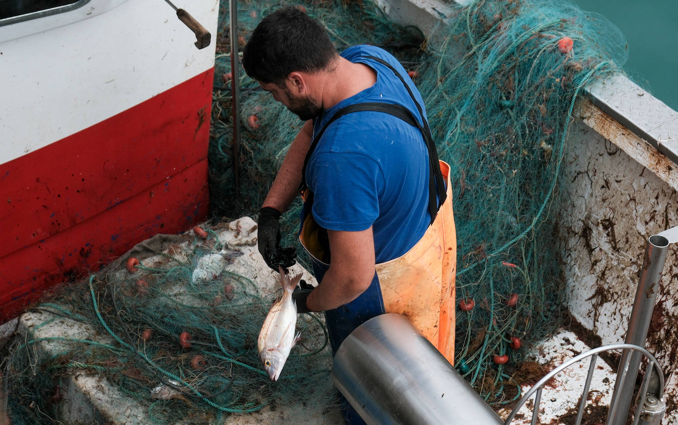 Fotografías de un drama: el alga asiática pasa &#039;factura&#039; a los pescadores de Conil