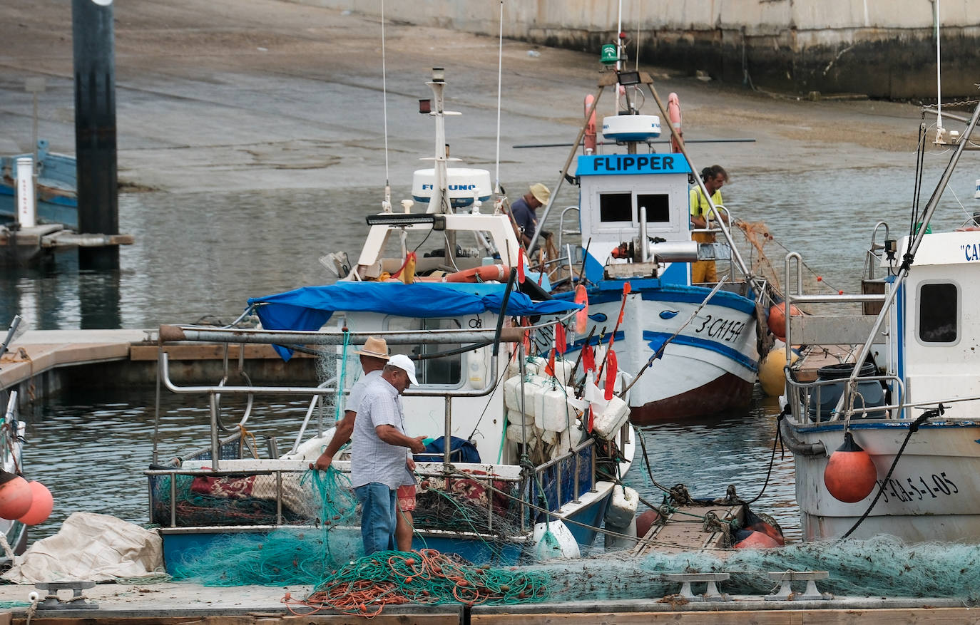 Fotografías de un drama: el alga asiática pasa &#039;factura&#039; a los pescadores de Conil