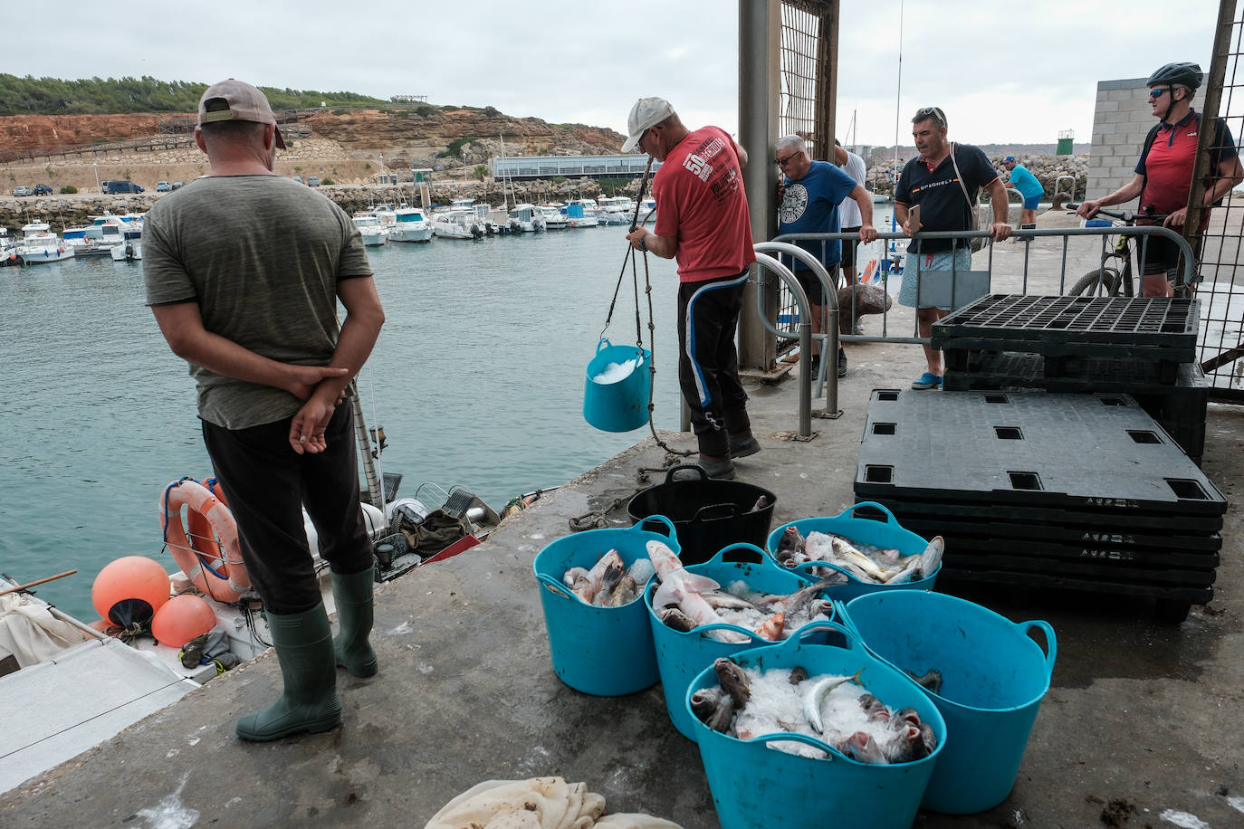 Fotografías de un drama: el alga asiática pasa &#039;factura&#039; a los pescadores de Conil