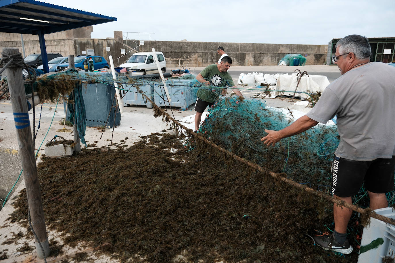 Fotografías de un drama: el alga asiática pasa &#039;factura&#039; a los pescadores de Conil