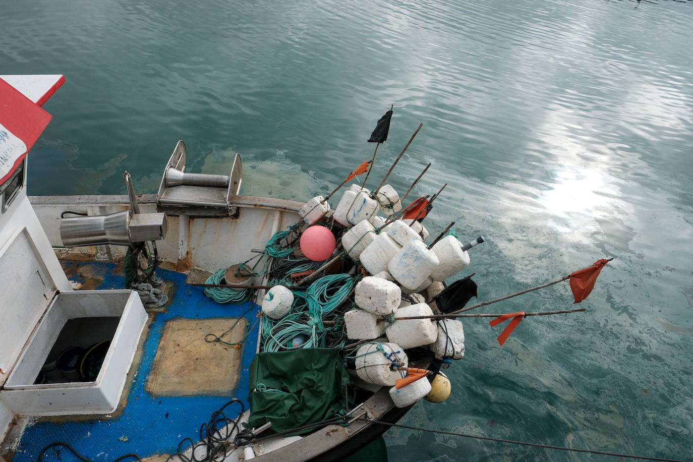 Fotografías de un drama: el alga asiática pasa &#039;factura&#039; a los pescadores de Conil