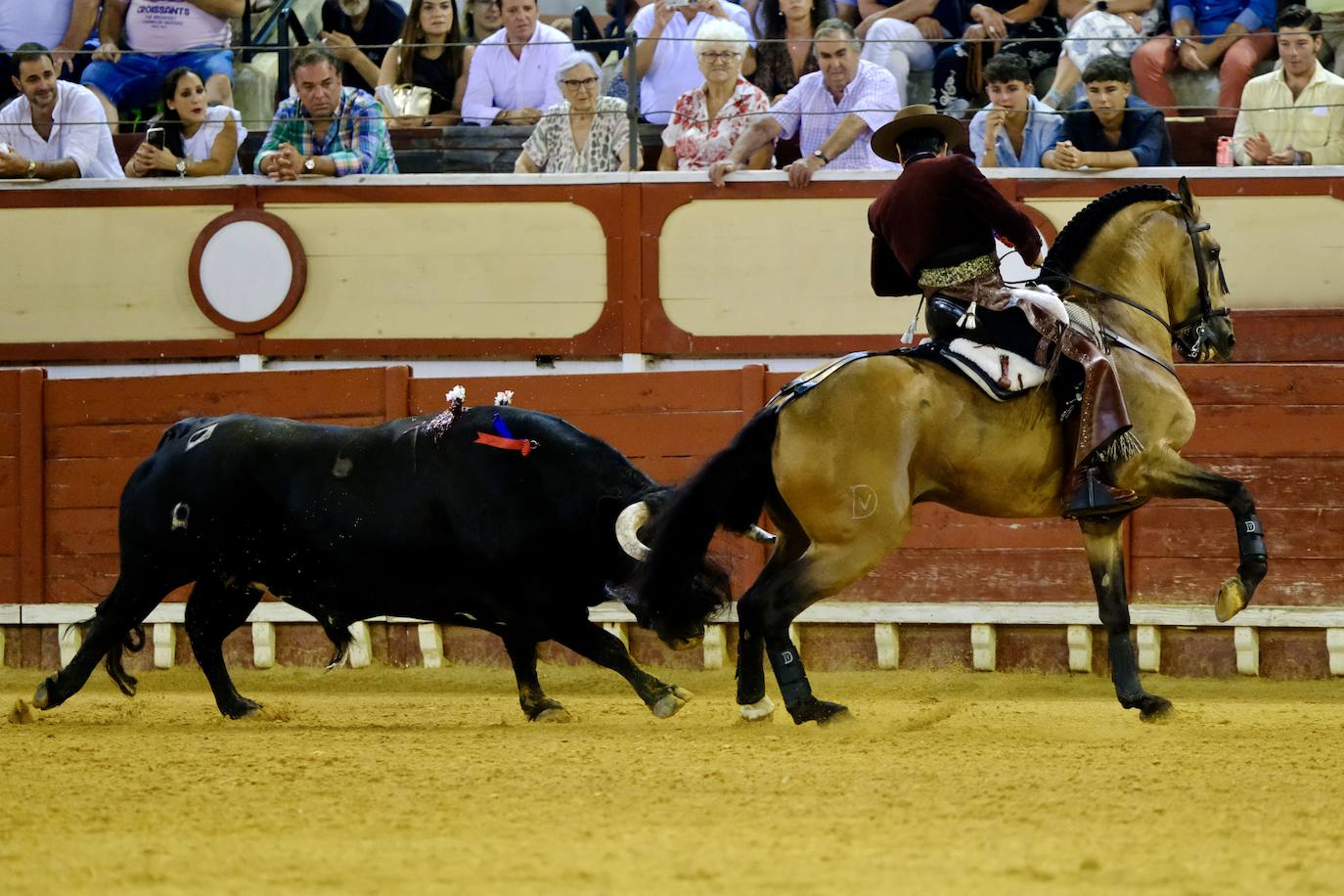 Oreja para Cartagena y Ventura ante un encastado encierro de Guiomar Cortés de Moura en El Puerto