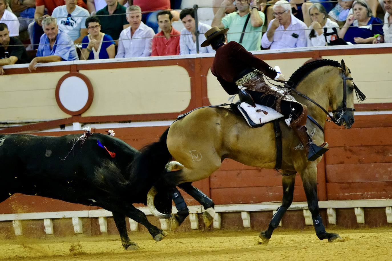 Oreja para Cartagena y Ventura ante un encastado encierro de Guiomar Cortés de Moura en El Puerto