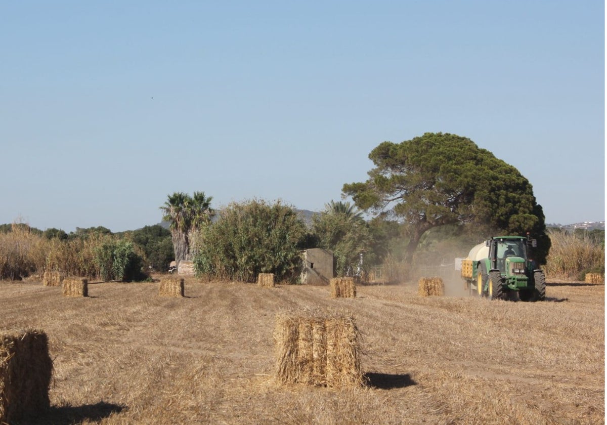 El principal problema es «la contaminación por nitratos, ligada a la actividad agrícola.