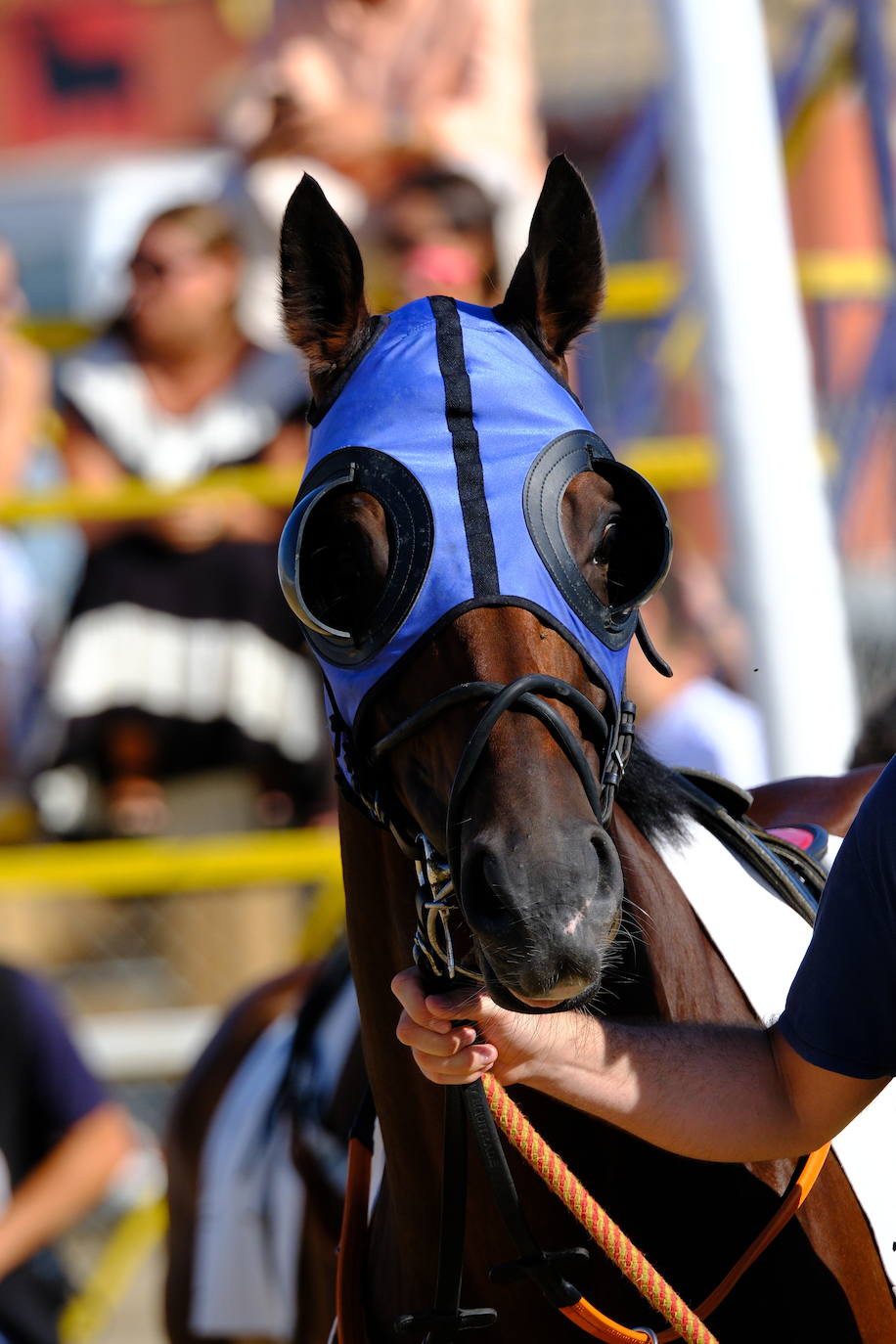 Fotos: Brillante doblete de Jaime Gelabert en las carreras de caballos de Sanlúcar