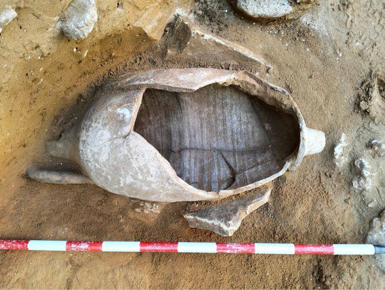 Fotos: Estos son los nuevos enterramientos hallados en el solar de Procasa de la calle Marqués de Cropani de Cádiz