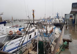 Pescadores del Golfo de Cádiz alertan del «agotamiento» de sus cuotas y piden «adelantar» captura de sardina