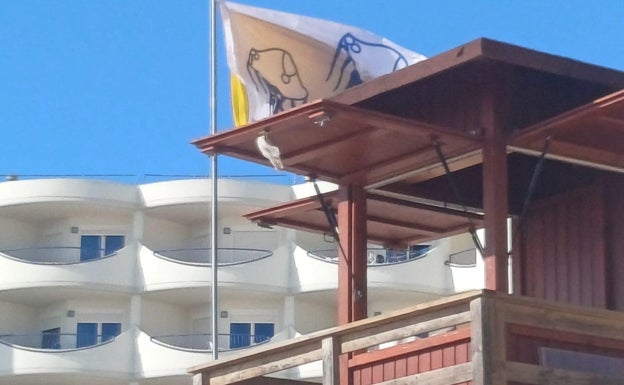 Bandera amarillo y bandera de medusas en la playa Victoria