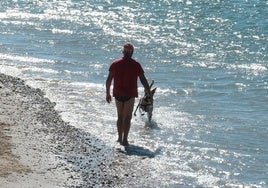 La playa canina de Torregorda contenta a los usuarios