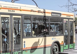 Tres empresas optan a remodelar las paradas de autobuses de la avenida principal de Cádiz