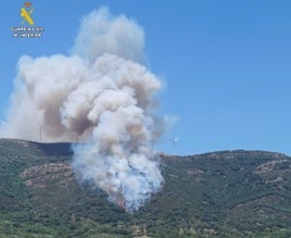 Se investiga a las empresas que realizaban el desbroce en la zona por el incendio que arrasó  575 hectáreas  en Tarifa