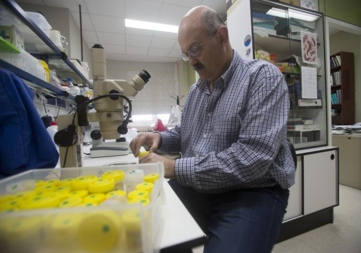 El investigador gaditano Juan Lucas Cervera en su laboratorio de la UCA