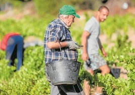 Casi el 20% de los trabajadores de la provincia supera los 55 años