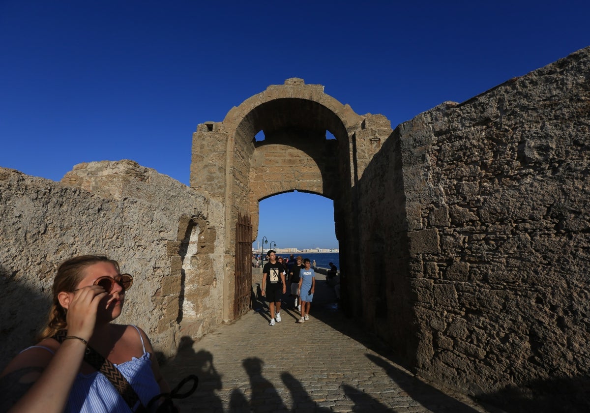 Las visitas han sido constantes desde la reapertura