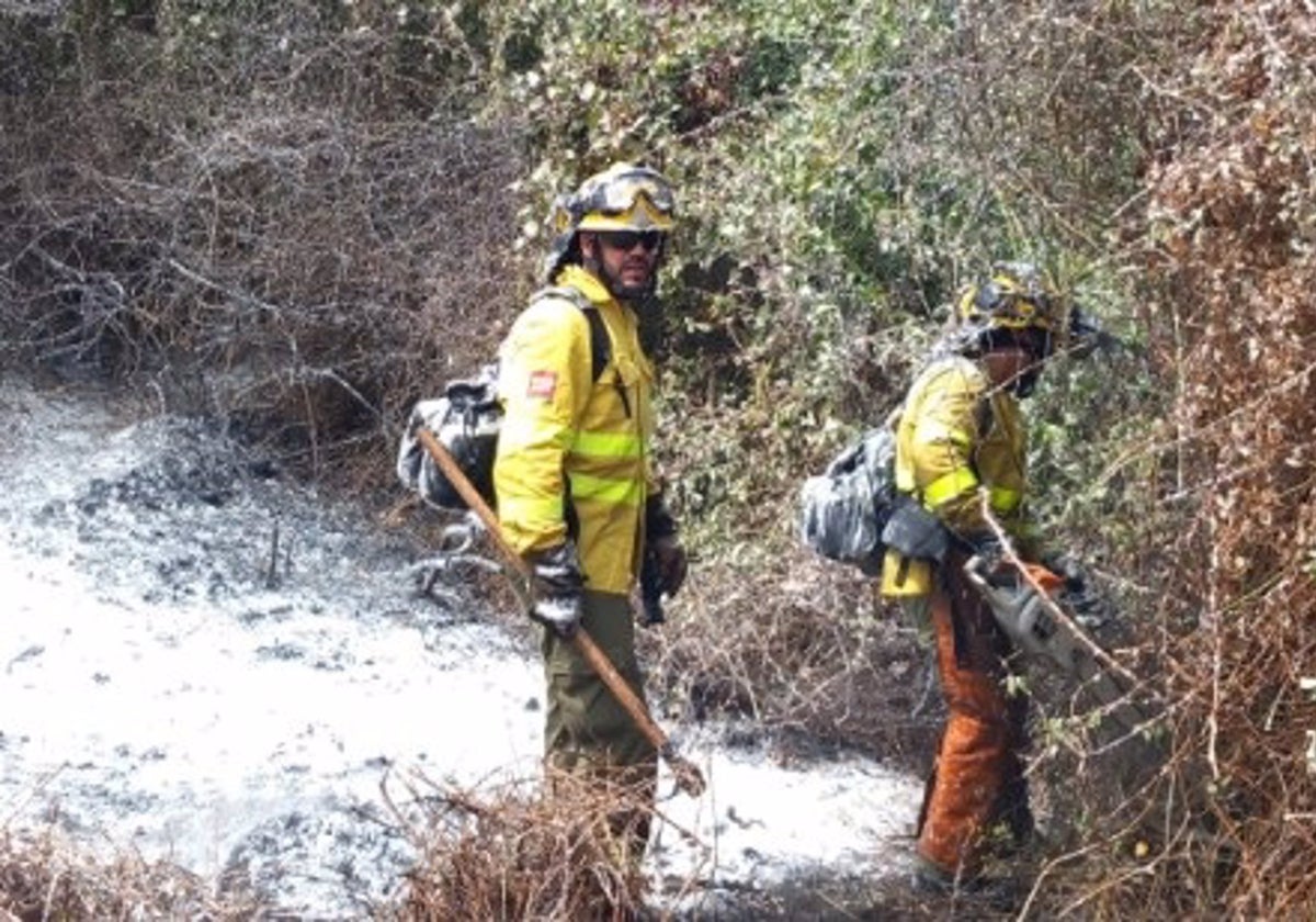 Medios aéreos y terrestres trabajan para sofocar un incendio forestal en Algeciras