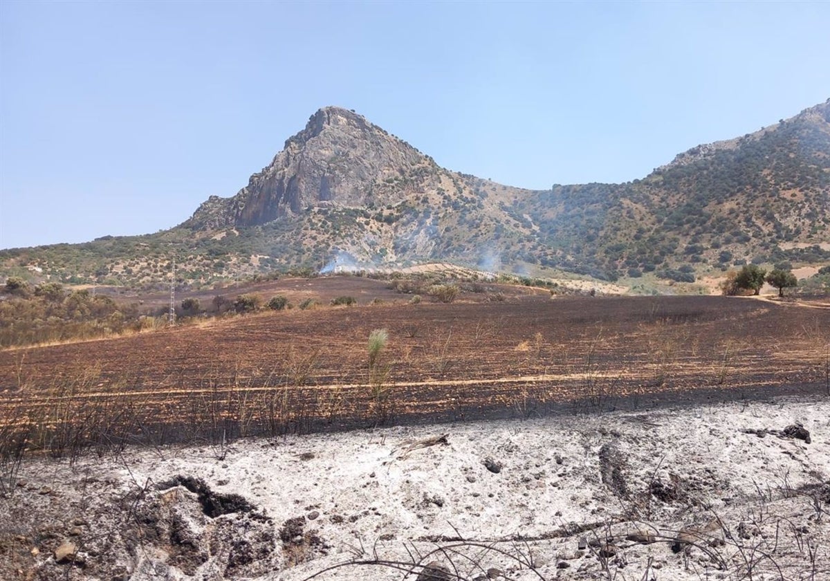 Extinguido un incendio forestal en El Gastor tras afectar a 15 hectáreas de pasto