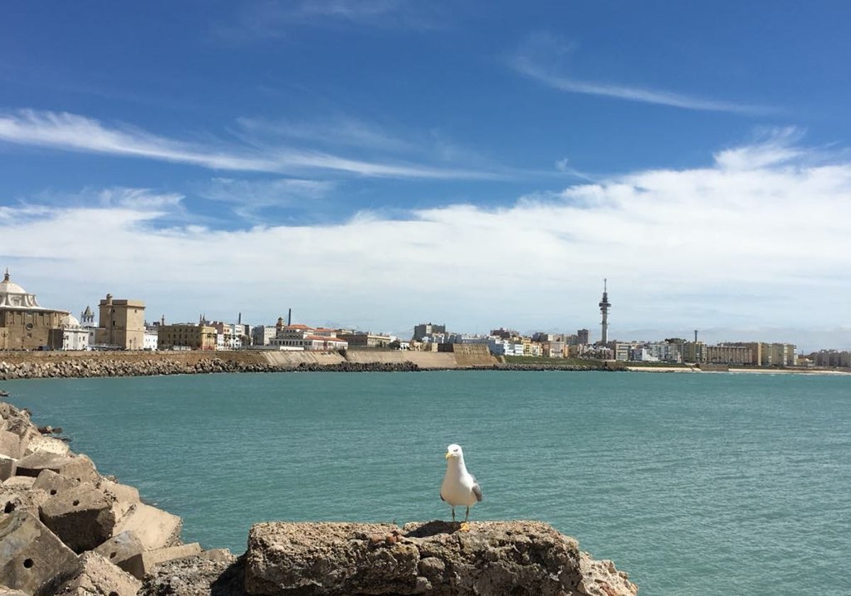 Vista de Cádiz desde el Campo del Sur