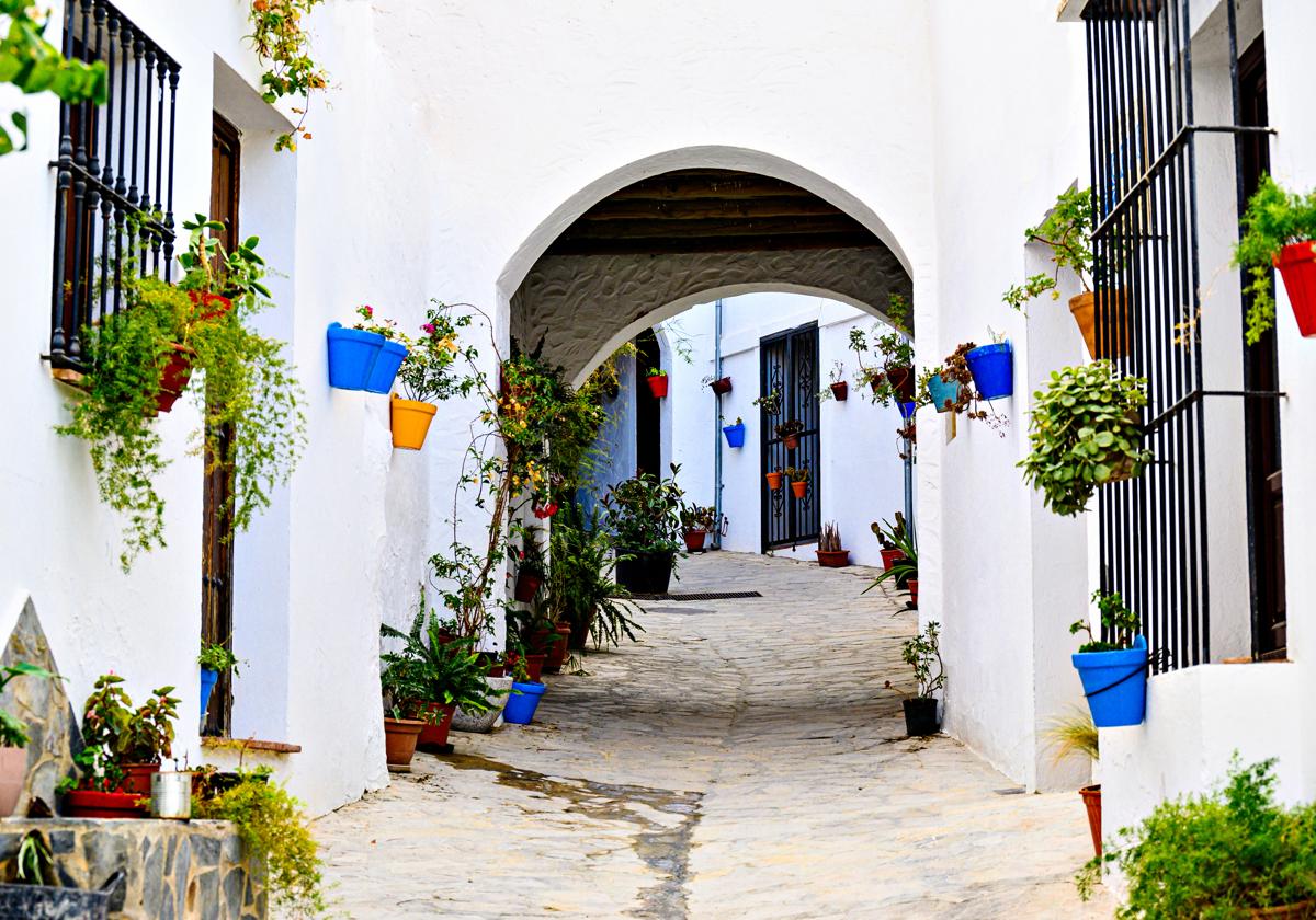 Una calle llena de flores en El Gastor