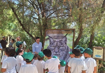 El Zoobotánico de Jerez, clave en la recuperación del lince ibérico