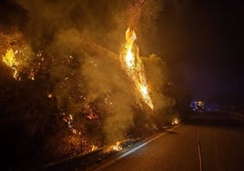 El Infoca extingue un incendio en Guadiaro