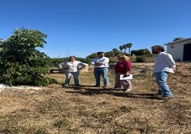 La Junta respalda la modernización agroganadera y la adquisición de maquinaria en la provincia