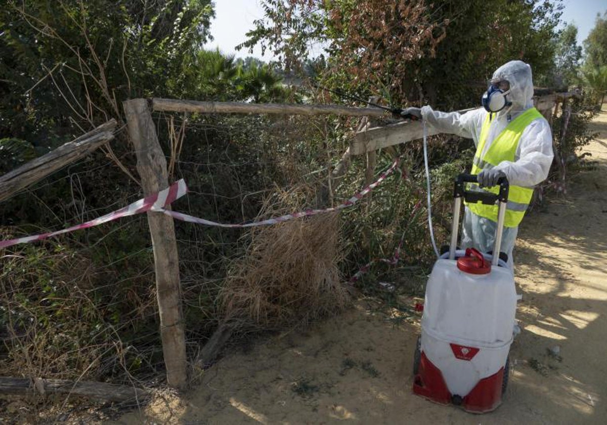 Las fumigaciones son una de las herramientas de los Ayuntamientos para combatir el virus del Nilo