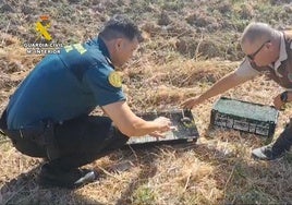 Caza ilegal de 'pajaritos': dos furtivos detenidos por capturar 80 jilgueros en Jerez