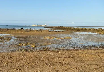 Asombrosas mareas en Cádiz por la Superluna de Cosecha del final del verano