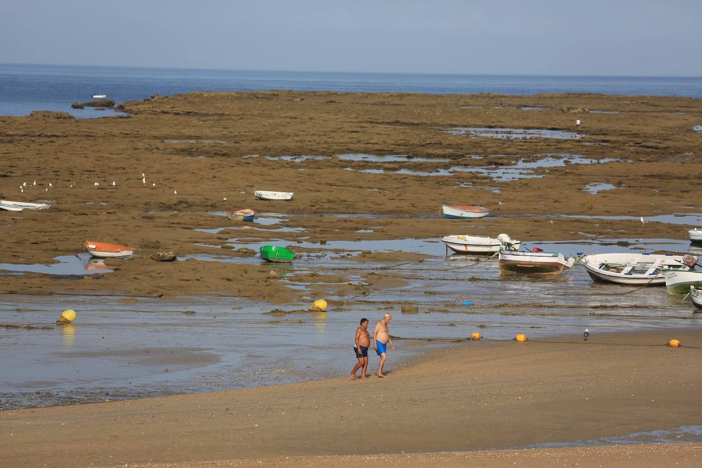 Fotos: Grandes mareas en Cádiz en el final del verano 2024