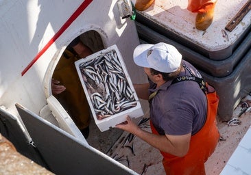 Tomás Pacheco: «Si se hace una reducción tan drástica de la cuota del boquerón, no sabríamos qué hacer con los barcos»