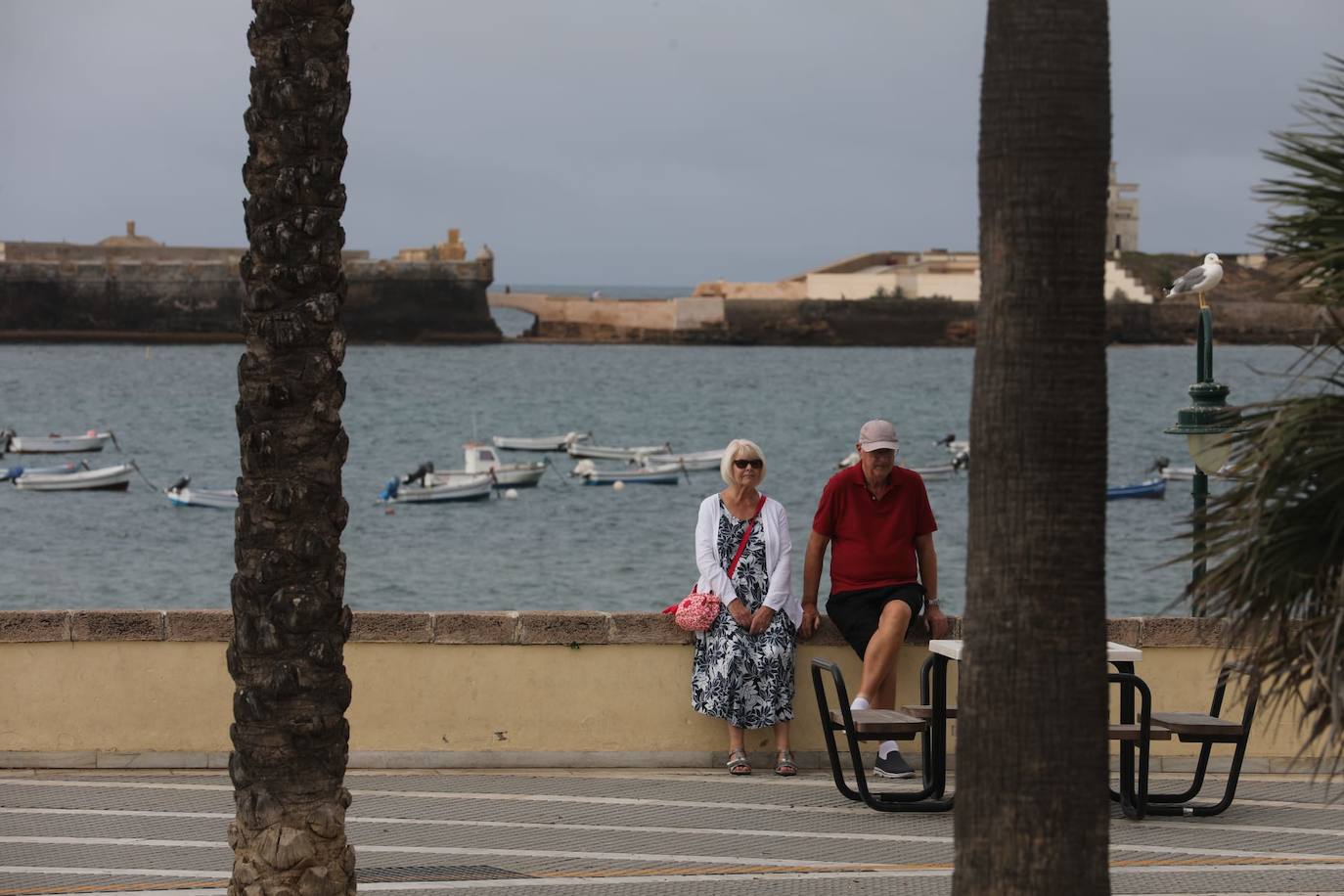 Fotos: Más de 8.000 turistas han llegado este jueves al puerto de Cádiz