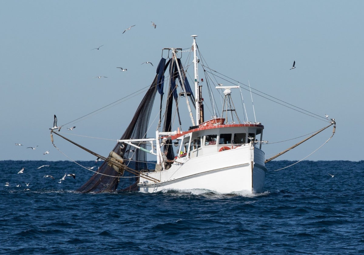 La Junta denuncia que el reparto de la cuota adicional de sardina «castiga» a la flota del Golfo de Cádiz