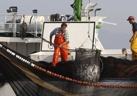 El futuro de casi medio centenar de barcos  de la Bahía de Cádiz, en el aire