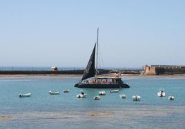 La sensación del año en aguas de Cádiz tiene nombre: Pura Vida