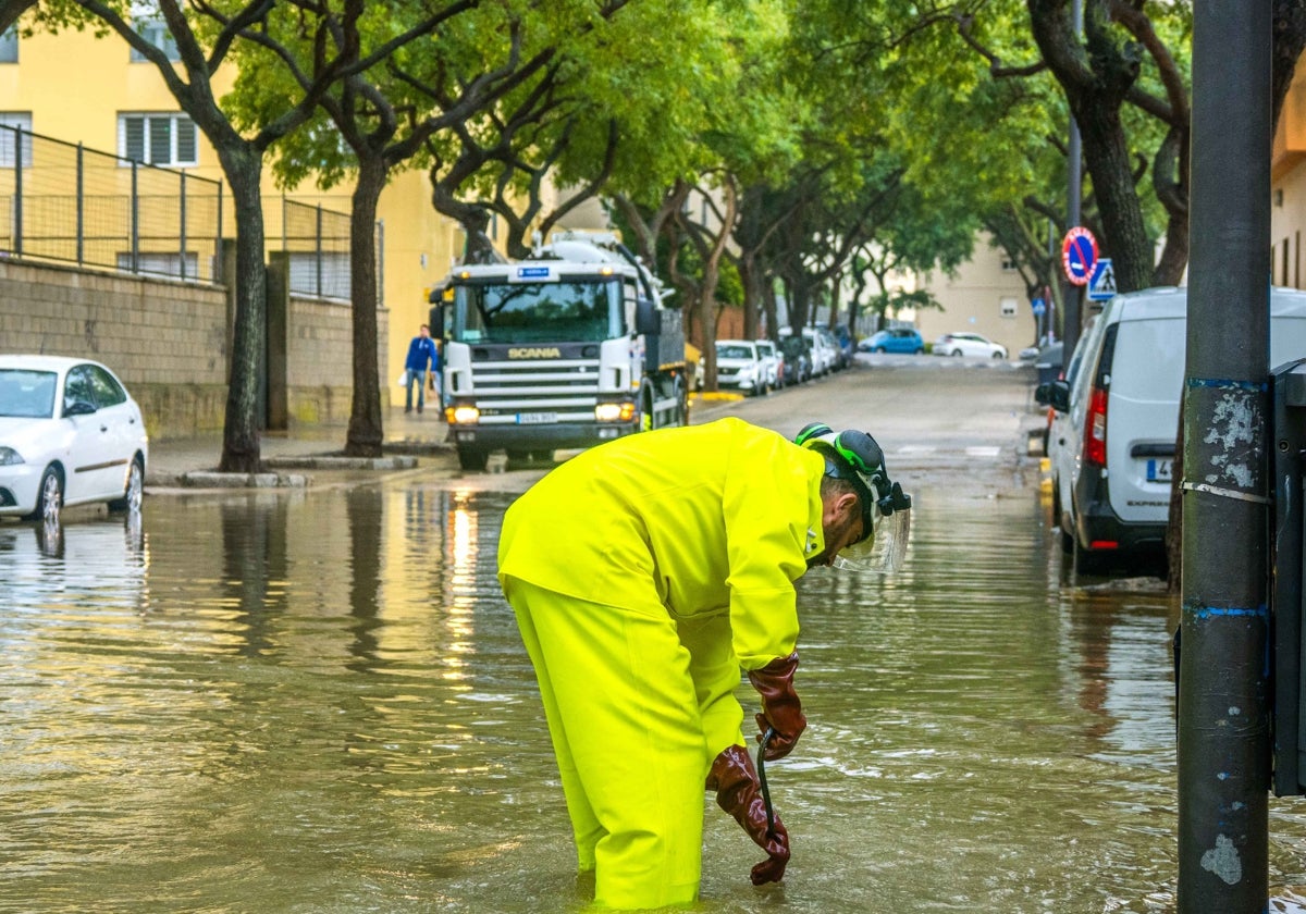 San Fernando ha sido de los municipios más afectados