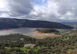 Los embalses de Cádiz necesitan más lluvia