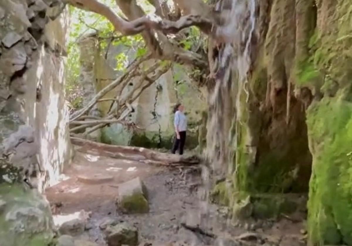 Imagen del Molino del Susto, en Grazalema