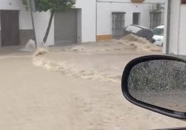 Vídeo: Un río provocado por la DANA atraviesa Arcos