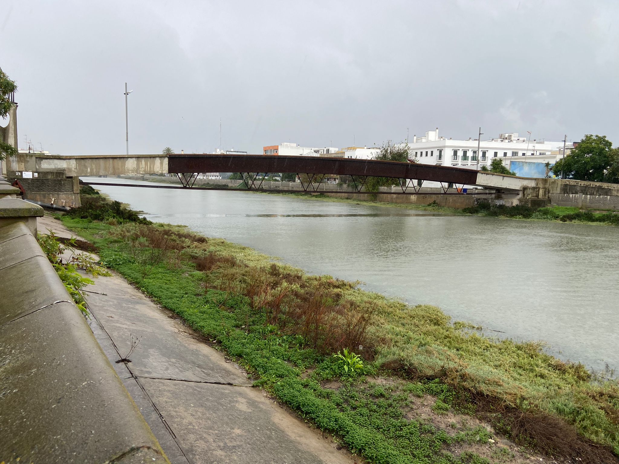 Fotos: la provincia de Cádiz, inundada