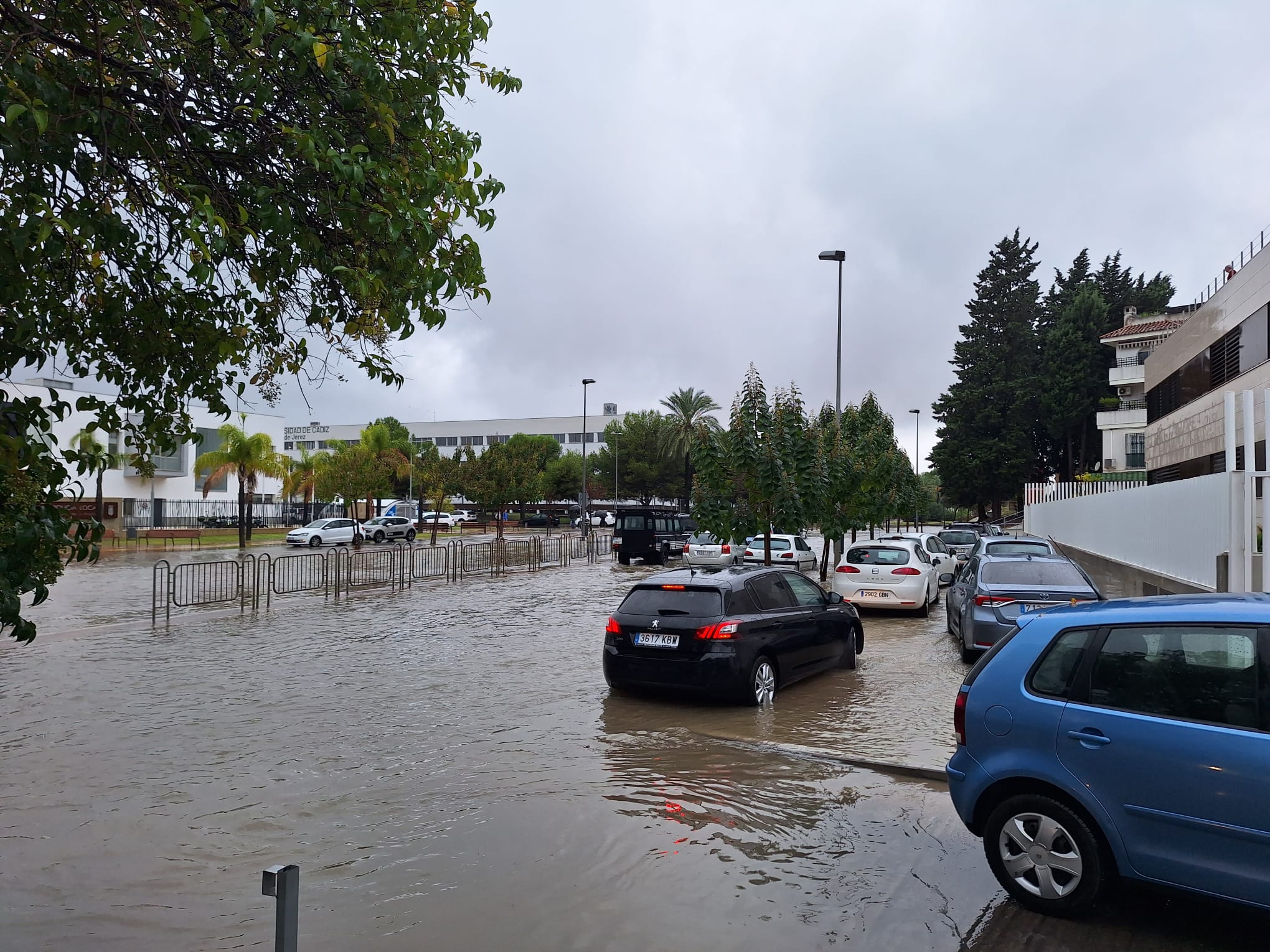 Fotos: la provincia de Cádiz, inundada