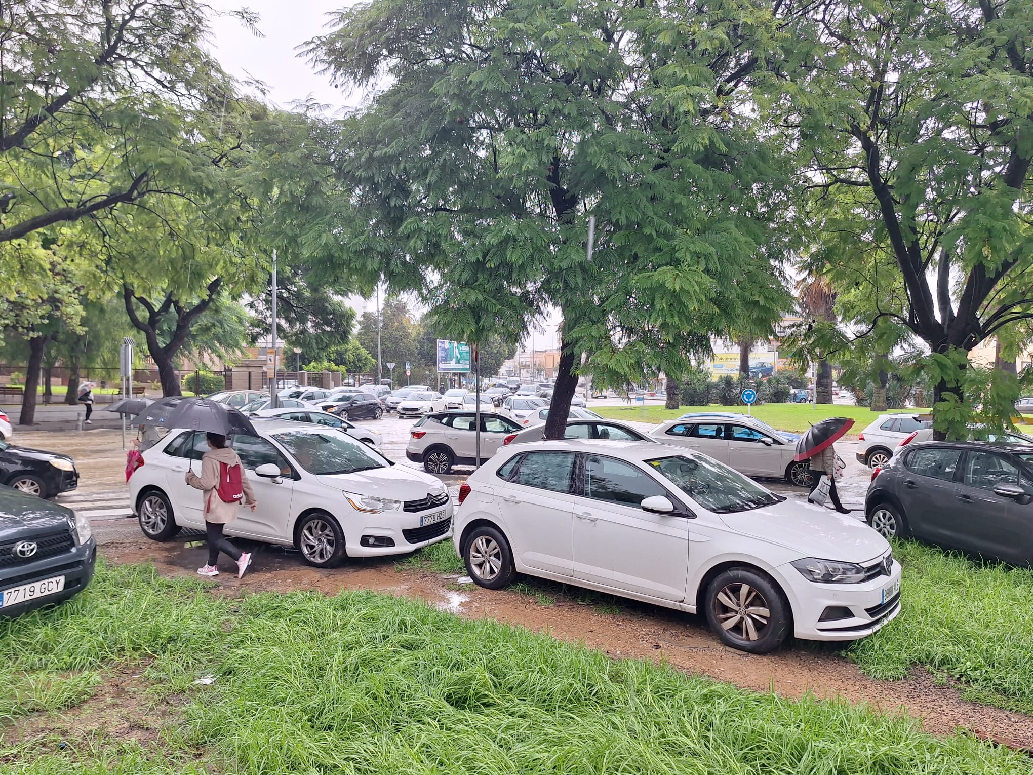 Fotos: la provincia de Cádiz, inundada